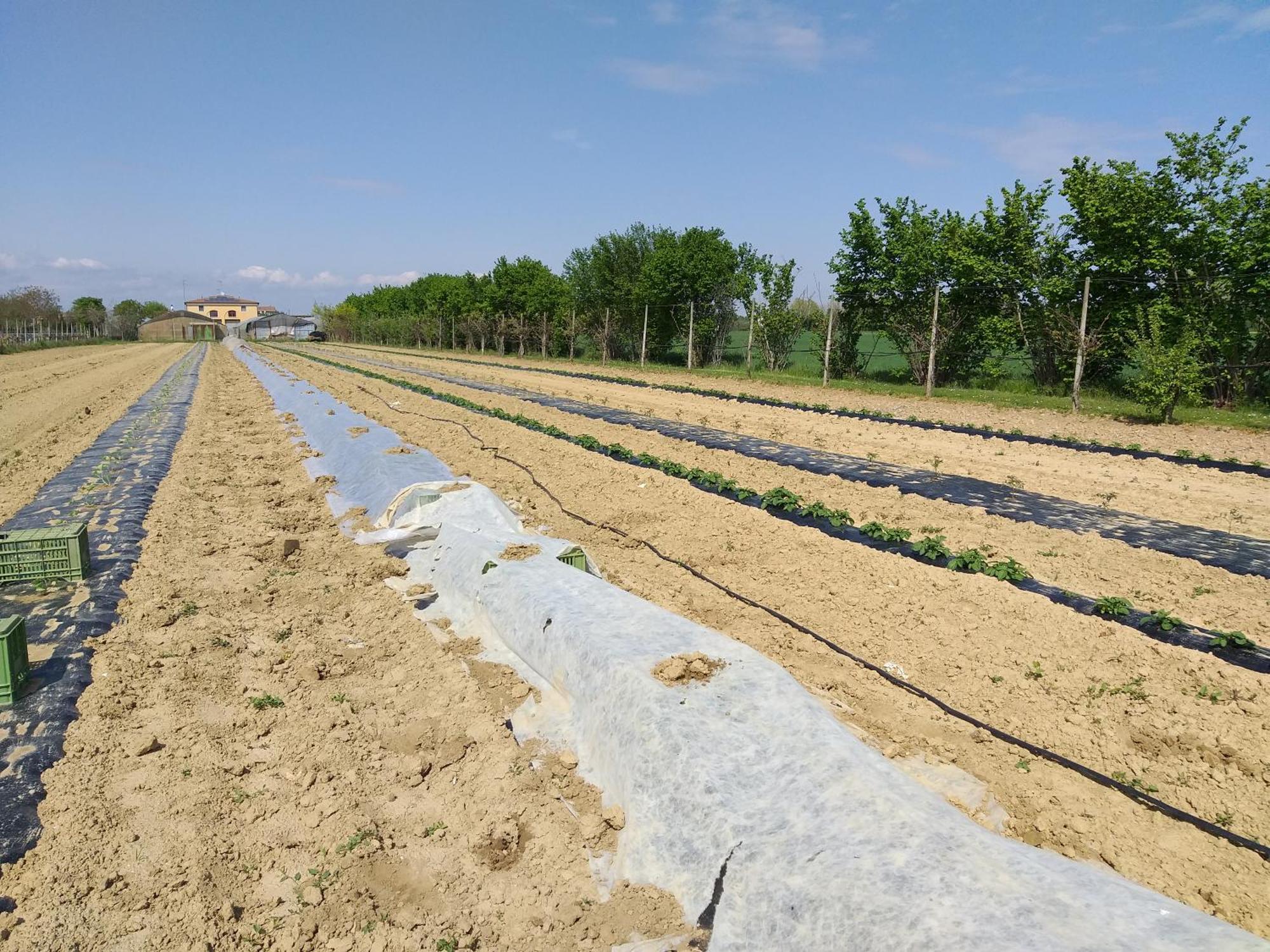 Agriturismo Il Melograno Tessera Zewnętrze zdjęcie